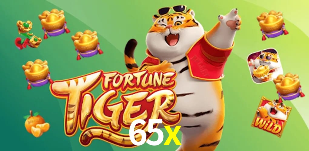 Bonus Features 65x
